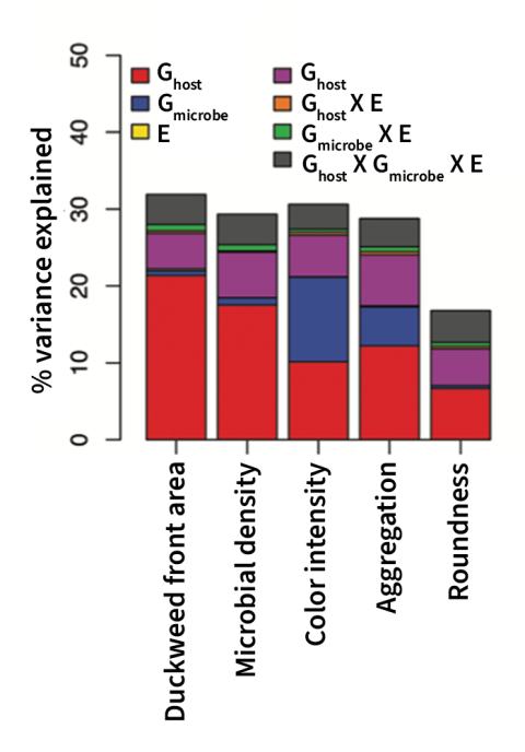 Stacked bar chart illustrating the percentage of variance explained in duckweed traits due to host genetics, microbial influences, environmental factors, and their interactions in response to an urbanization contaminant, likely zinc.