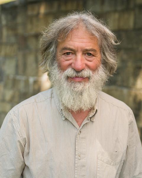 David Berlinsky